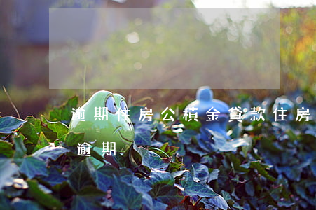逾期住房公積金貸款(住房公積金貸款多久算逾期)