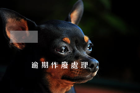 逾期作廢處理