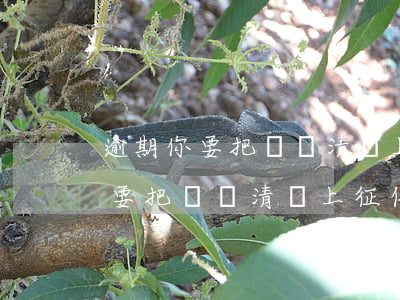 逾期你要把錢還清還上征信還在嗎-逾期你要把錢還清還上征信還在嗎怎么辦