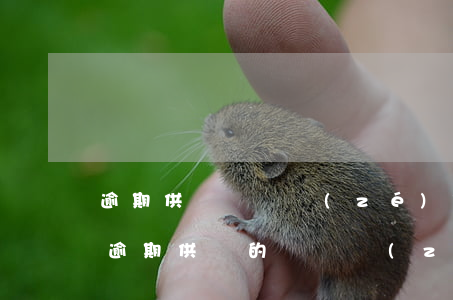 逾期供貨違約責(zé)任條款顯失公平-逾期供貨的違約責(zé)任
