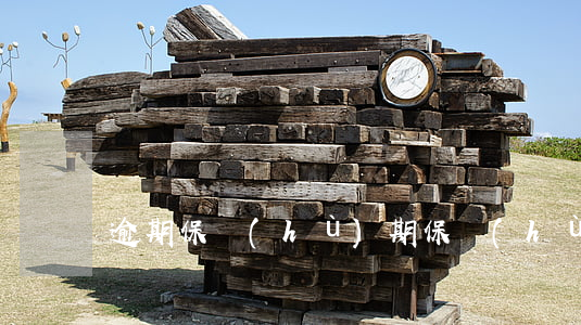 逾期保護(hù)期(保護(hù)已過期)