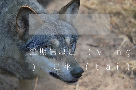 逾期信息是應(yīng)該銀行發(fā)還是平臺(tái)發(fā)-逾期信息是應(yīng)該銀行發(fā)還是平臺(tái)發(fā)的