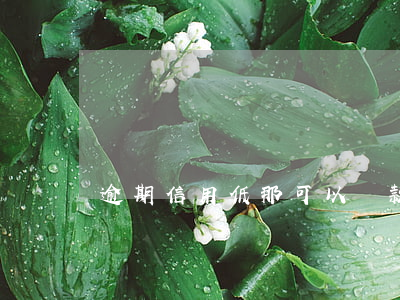 逾期信用低那可以貸款(信用有逾期貸款)