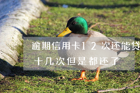 逾期信用卡12次还能贷房贷吗-房贷逾期十几次但是都还了