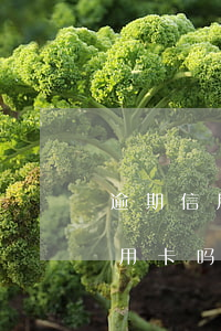 逾期信用卡1个多月(逾期一个月还能申请信用卡吗)