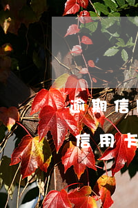 逾期信用卡2個(gè)月還能做高鐵嗎(欠信用卡兩年沒還可以坐高鐵嗎)