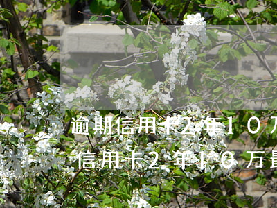 逾期信用卡2年10万最后要还多少-逾期信用卡2年10万最后要还多少钱