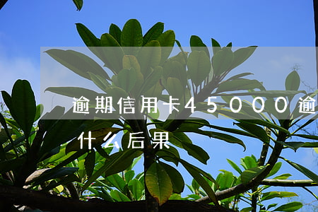 逾期信用卡45000(逾期信用卡一個月有什么后果)