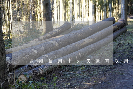 逾期信用卡5天還可以用嗎