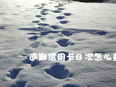 逾期信用卡8次(怎么查信用卡逾期)