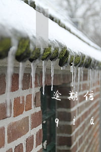 逾期信用卡8萬(wàn)(信用卡8塊錢(qián)逾期)