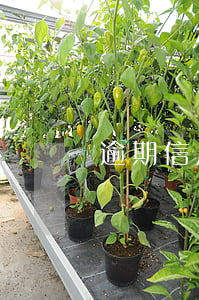逾期信用卡一年住酒店會被抓嗎
