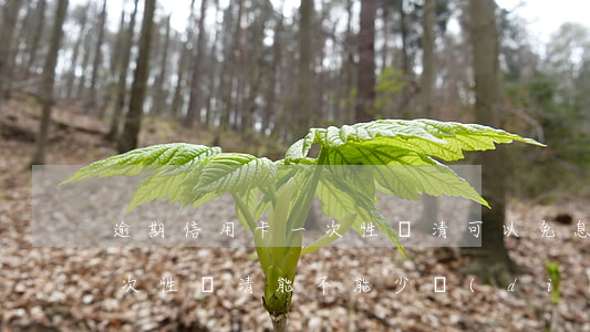 逾期信用卡一次性還清可以免息嗎-逾期一次性還清能不能少點(diǎn)兒本金?