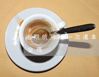 逾期信用卡一次還本金(逾期一年還款是還本金嗎)