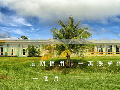 逾期信用卡一萬賬單(信用卡1000塊逾期一個月)