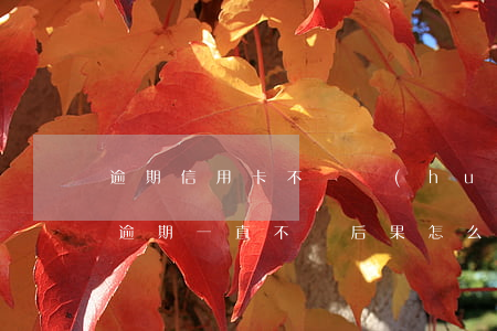 逾期信用卡不還會(huì)怎么樣(信用卡逾期一直不還后果怎么樣)