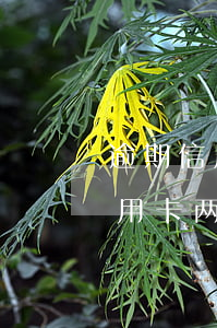 逾期信用卡两三年还可以做网贷嘛-逾期信用卡两三年还可以做网贷嘛安全吗