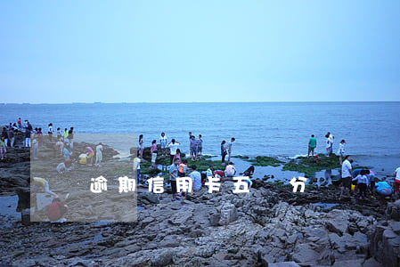 逾期信用卡五級分類標準(信用卡逾期5年)