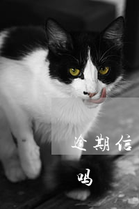 逾期信用卡会不会利滚利 欠信用卡会利滚利吗
