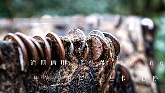 逾期信用卡停卡能當(dāng)儲蓄卡使用(欠信用卡錢,儲蓄卡會被停嗎)