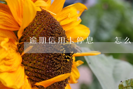 逾期信用卡停息掛賬怎么申請(信用卡停息掛賬)