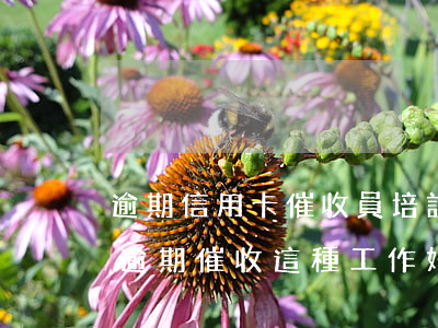 逾期信用卡催收員培訓(xùn)(對信用卡逾期催收這種工作好干么)