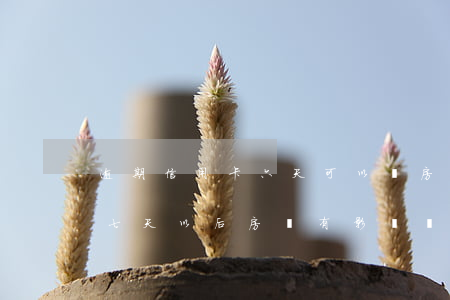 逾期信用卡六天可以買房(信用卡逾期過一次七天,以后房貸有影響嗎?)