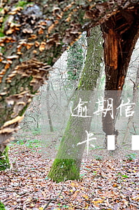 逾期信用卡凍結(jié)怎么還(逾期信用卡凍結(jié)怎么還)