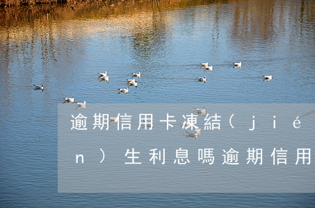 逾期信用卡凍結(jié)還會產(chǎn)生利息嗎 逾期信用卡凍結(jié)還會產(chǎn)生利息嗎怎么辦