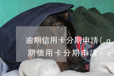 逾期信用卡分期申請(qǐng)書范文(逾期信用卡分期申請(qǐng)書范文)