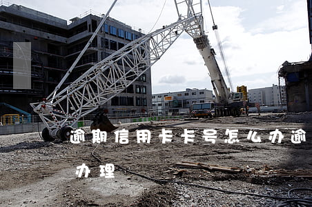逾期信用卡卡号怎么办(逾期信用卡卡号怎么办理)