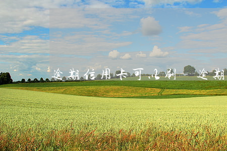 逾期信用卡可以刷嗎(逾期過信用卡還能用嗎)