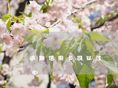 逾期信用卡可以注銷嗎(注銷的信用卡還可以申請嗎)