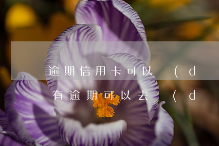逾期信用卡可以當(dāng)兵嗎-征信有逾期可以去當(dāng)兵嗎