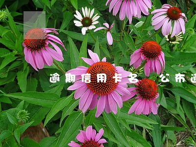 逾期信用卡名單公布 逾期信用卡名單公布