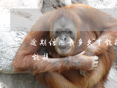 逾期信用卡多久才能提額(逾期信用卡多久才能提額)