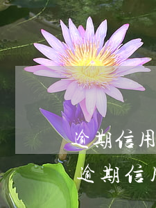 逾期信用卡多久銀行的人會(huì)上門(逾期信用卡多久銀行的人會(huì)上門核實(shí))