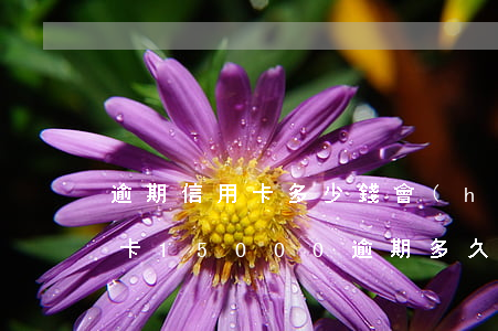 逾期信用卡多少錢會(huì)被起訴(信用卡15000逾期多久銀行起訴)