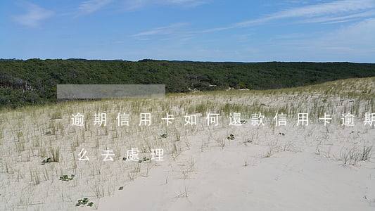 逾期信用卡如何還款(信用卡逾期了還完了怎么去處理)