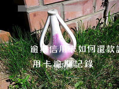 逾期信用卡如何還款記錄查詢(怎么查以前信用卡逾期記錄)
