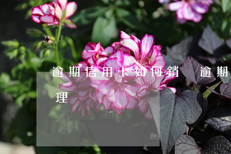 逾期信用卡如何銷戶(逾期信用卡如何銷戶辦理)