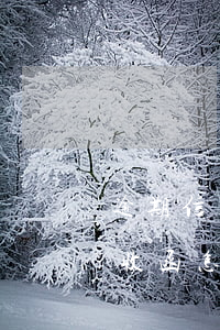 逾期信用卡客戶催收公告(信用卡逾期收到催收函怎么辦)