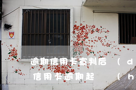 逾期信用卡宣判后當(dāng)庭拘留(欠信用卡逾期起訴會(huì)拘留嗎)
