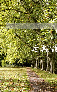 逾期信用卡尾款怎么處罰(信用卡逾期罰息)