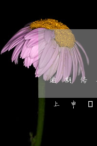 逾期信用卡已丟失怎么辦理(網(wǎng)上申請(qǐng)的信用卡丟了怎么辦)