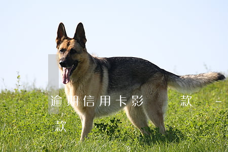逾期信用卡影響匯款嗎-逾期信用卡影響匯款嗎