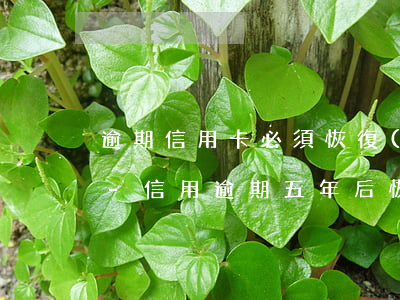 逾期信用卡必須恢復(fù)征信后再注銷-信用逾期五年后恢復(fù)可以繼續(xù)申請(qǐng)信用卡嗎
