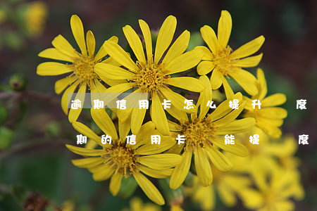 逾期信用卡怎么提升額度 有過(guò)逾期的信用卡還能提額度嗎