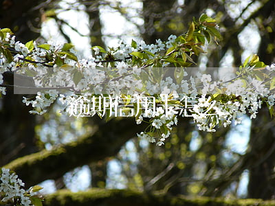 逾期信用卡怎么補