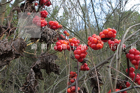 逾期信用卡截圖(銀行卡逾期圖片)